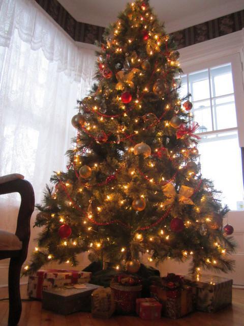 The Dawson House Bed & Breakfast Charlottetown Extérieur photo